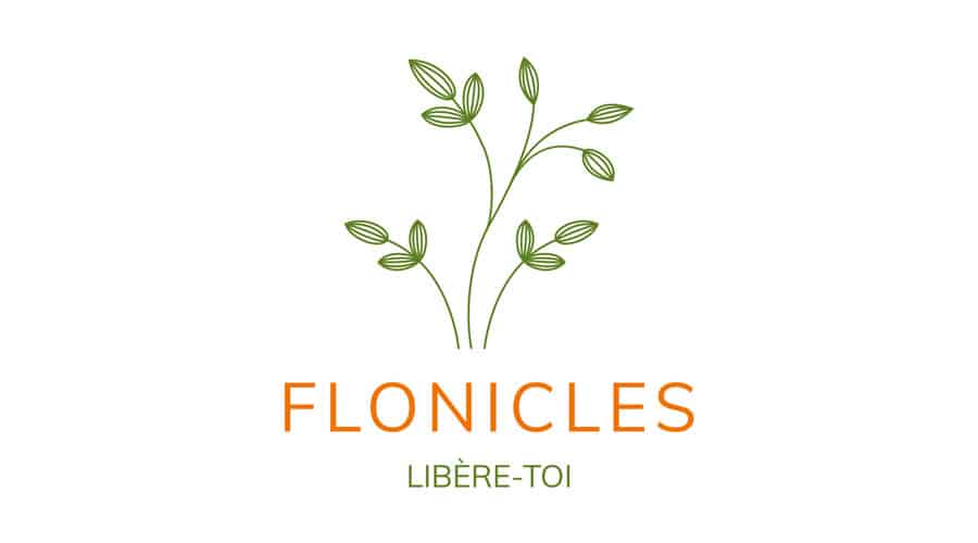 Logo The Flonicles - Page presse Little Green Box